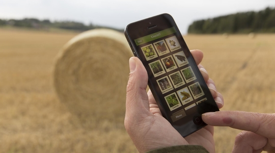 防偽查詢—查驗(yàn)產(chǎn)品真?zhèn)? />
                </div>
                <div   id=